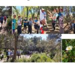 Biodiversité et botanique