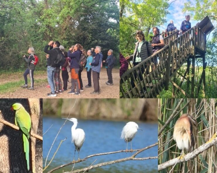 Biodiversité et découvertes d’oiseaux