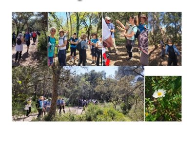 Biodiversité et botanique