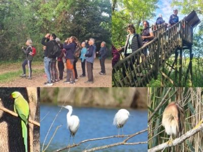 Biodiversité et découvertes d’oiseaux